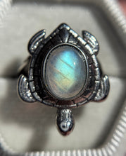 Cargar imagen en el visor de la galería, Anillo Tortuga Piedra Luna 🌈
