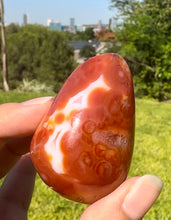 Cargar imagen en el visor de la galería, Huevo de Ágata Cornalina con drusy
